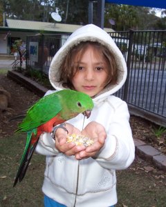 Maddy & King Parrot