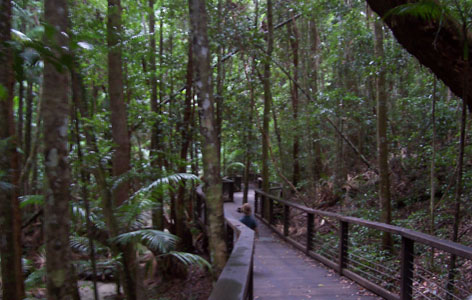 fraser island
